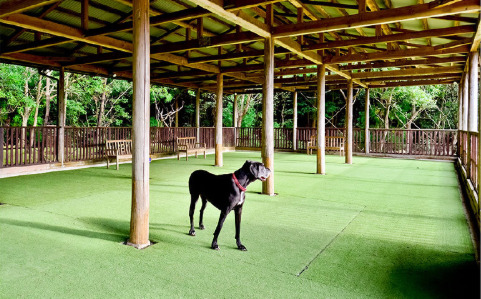 和歌山県有田郡の屋根付きドッグラン「パートナーズハウス ゆあさ」